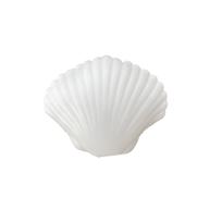 Seaside Clamshell Squeeze Squishy - Daydream Society