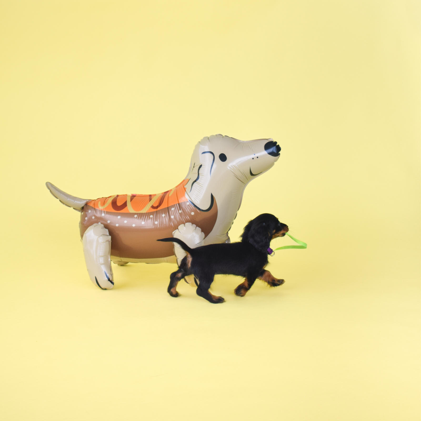 Trick or Treat Street Hot Dog Dachshund Mylar Balloon, Daydream Society
