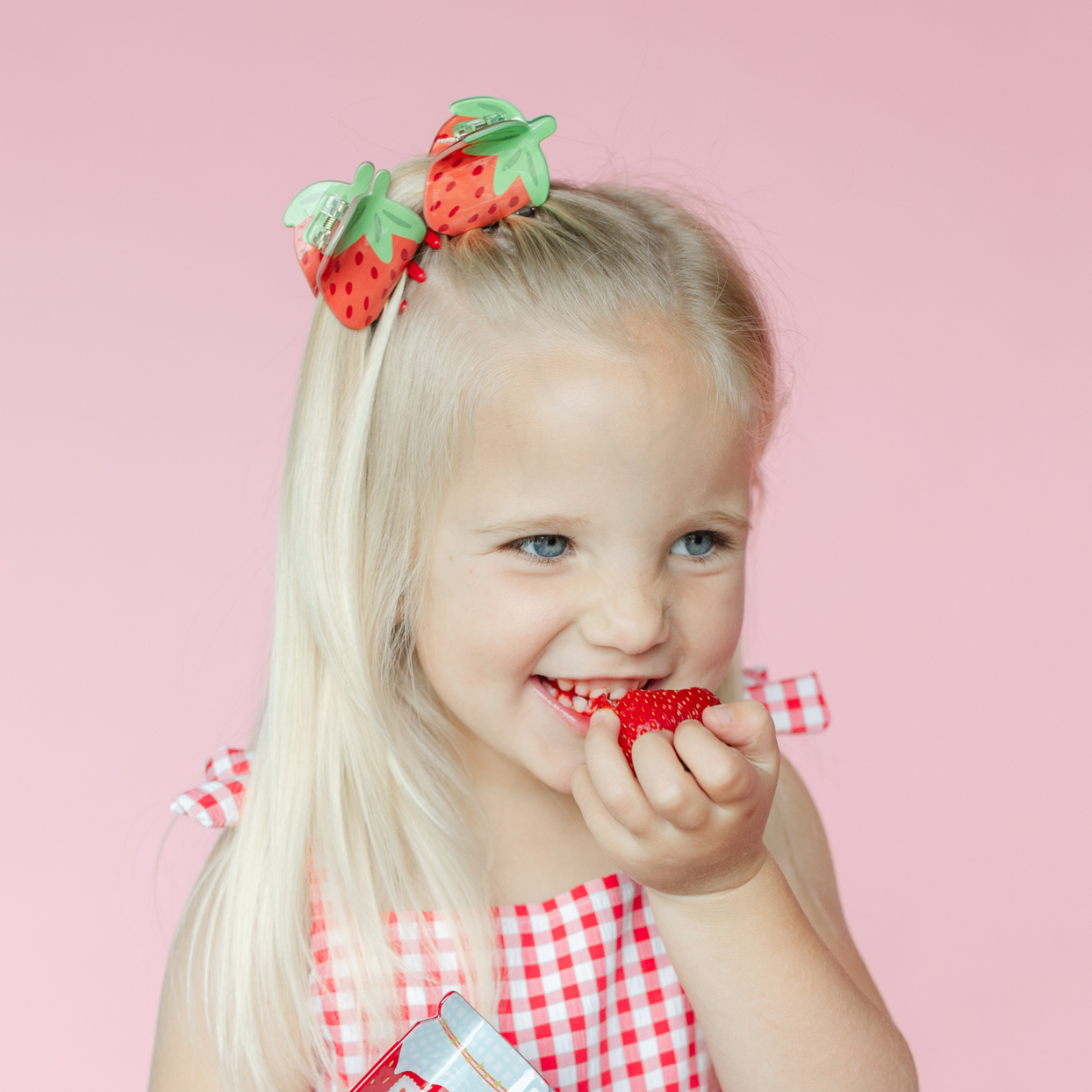 Picnic Strawberry Acetate Claw Clip, Daydream Society