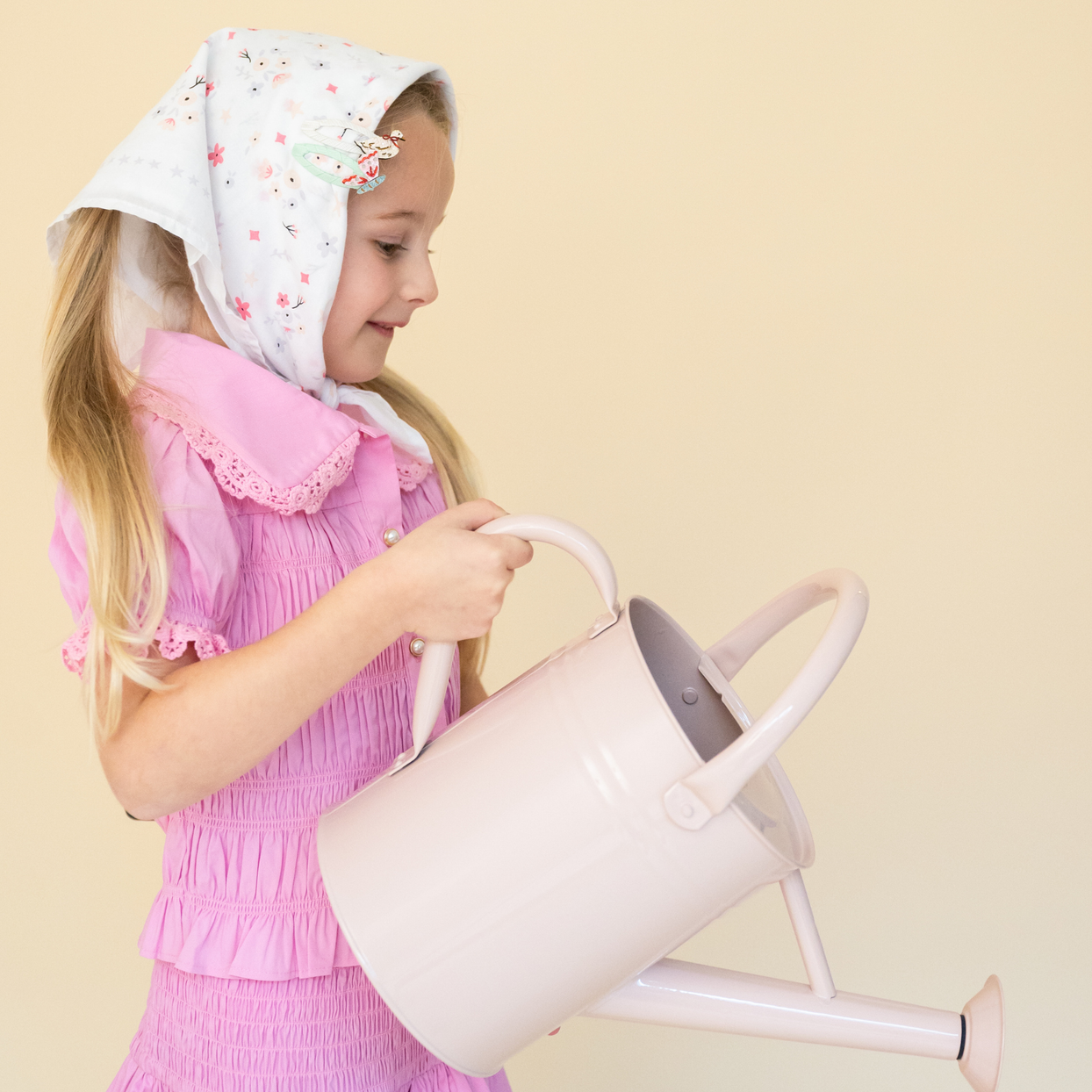 Silly Goose Hair Clip Set, Daydream Society