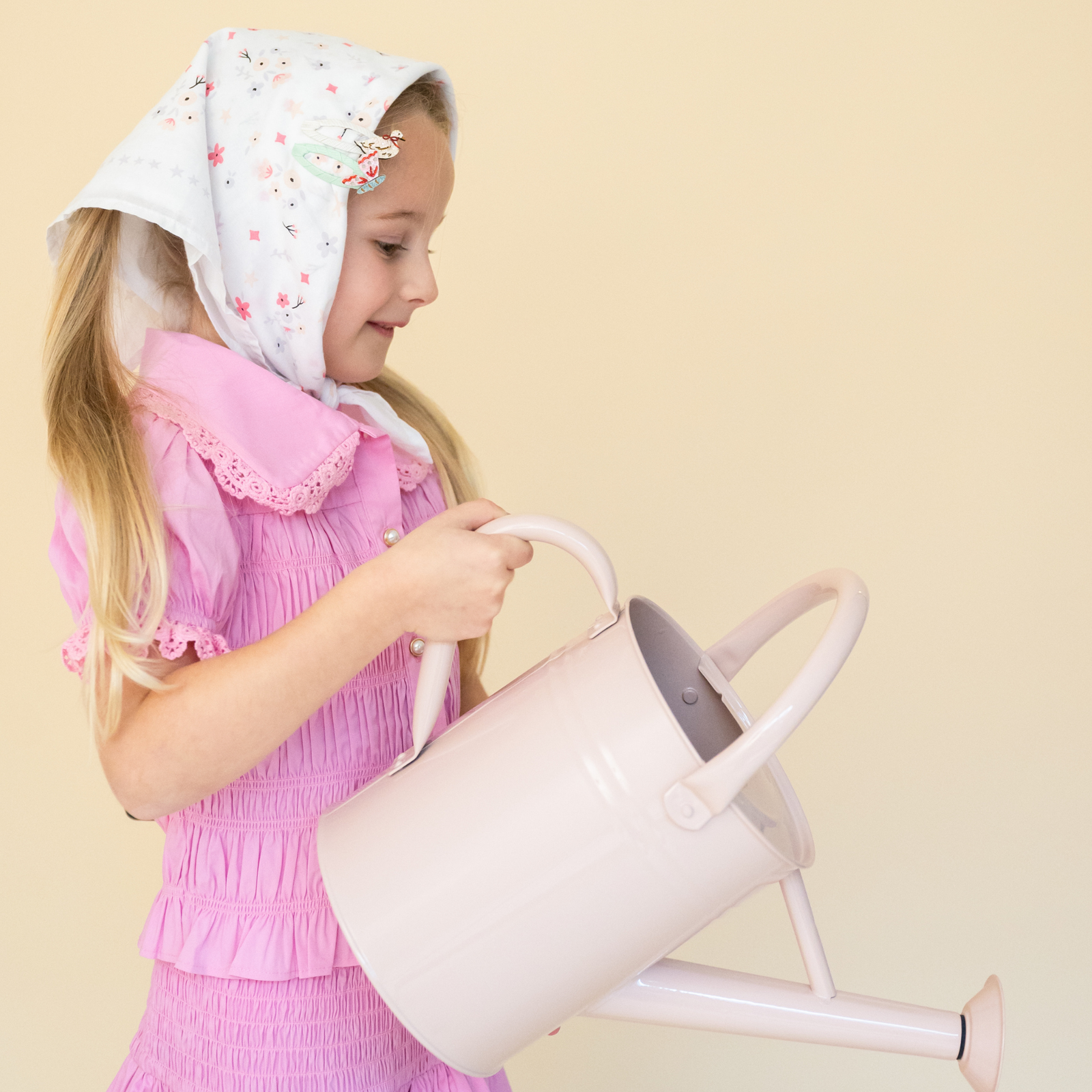 Silly Goose Hair Clip Set, Daydream Society