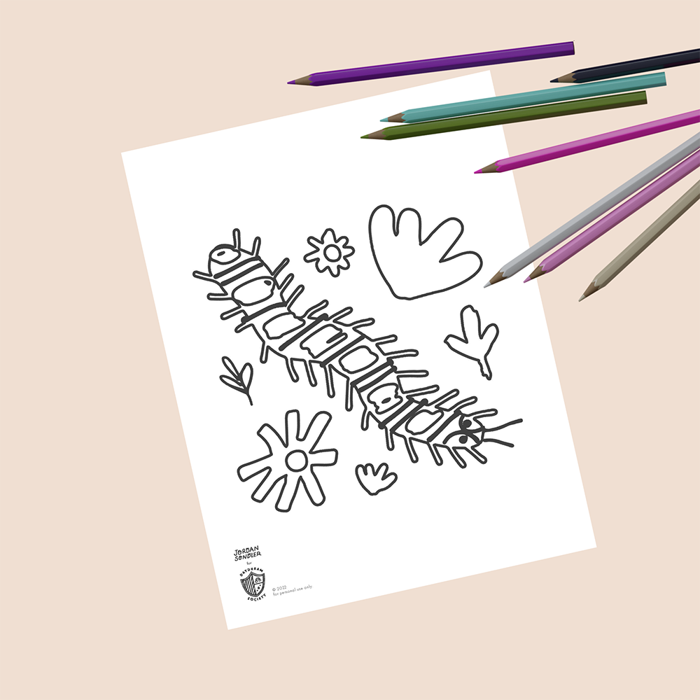 backyard bugs free coloring page printable, daydream society