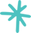 asterisk icon