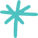 asterisk icon